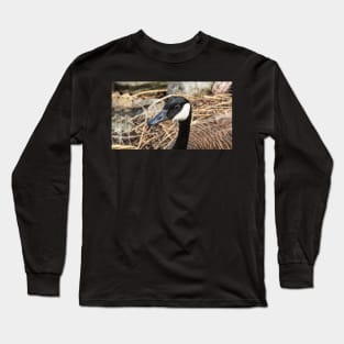 Canada Goose Resting On Her Nest Long Sleeve T-Shirt